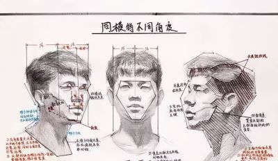 学素描头像入门必备，详细讲解。 - 图画吧TUHUABA