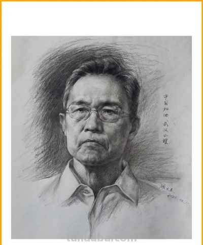 如何画好一张素描头像，主要问题解答在这里。 - 图画吧TUHUABA