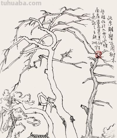 张立铁 硬笔速写偶得 - 图画吧TUHUABA