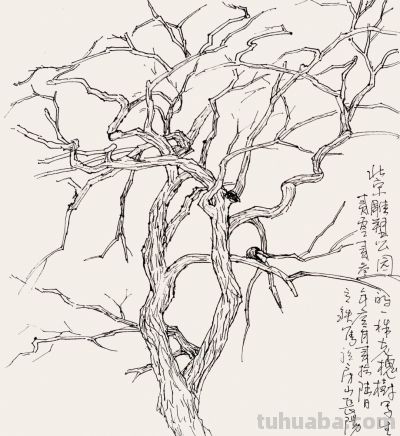 张立铁 硬笔速写偶得 - 图画吧TUHUABA