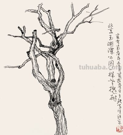 张立铁 硬笔速写偶得 - 图画吧TUHUABA