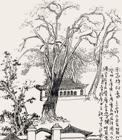 张立铁 硬笔速写偶得 - 图画吧TUHUABA