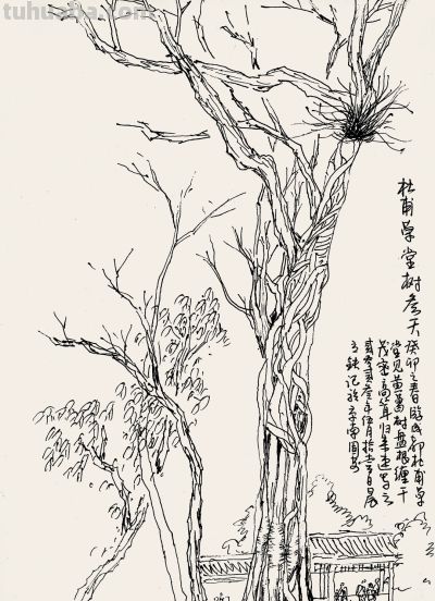 张立铁 硬笔速写偶得 - 图画吧TUHUABA