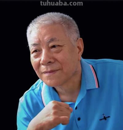 花鸟之语——色彩和线条的世界 - 图画吧TUHUABA