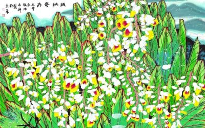 花鸟之语——色彩和线条的世界 - 图画吧TUHUABA