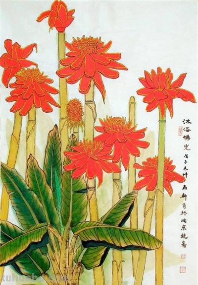 花鸟之语——色彩和线条的世界 - 图画吧TUHUABA