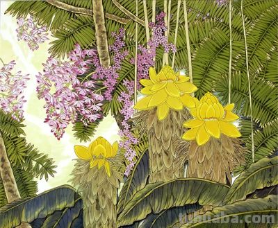 花鸟之语——色彩和线条的世界 - 图画吧TUHUABA