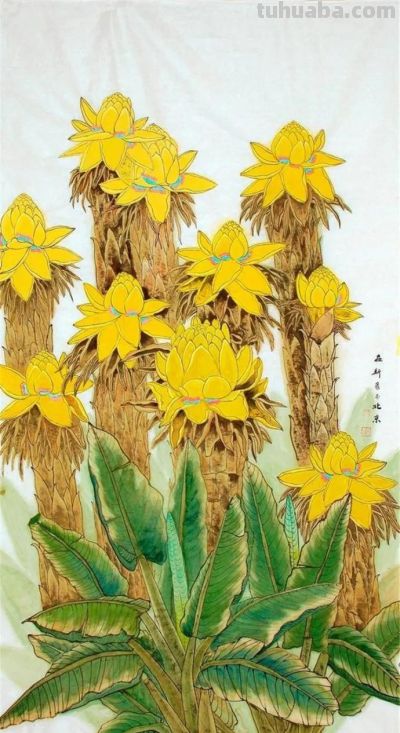 花鸟之语——色彩和线条的世界 - 图画吧TUHUABA