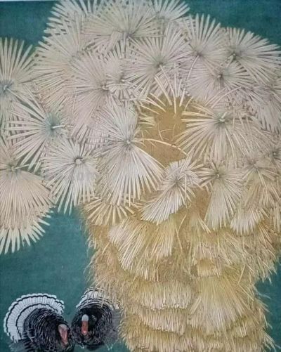 花鸟之语——色彩和线条的世界 - 图画吧TUHUABA