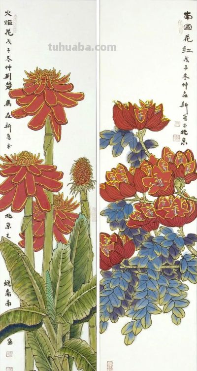 花鸟之语——色彩和线条的世界 - 图画吧TUHUABA
