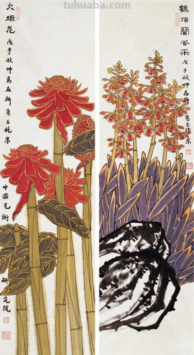 花鸟之语——色彩和线条的世界 - 图画吧TUHUABA