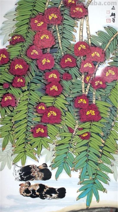 花鸟之语——色彩和线条的世界 - 图画吧TUHUABA