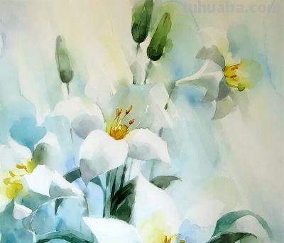 邂逅俄罗斯画家Stitch玛丽的水彩之美 - 图画吧TUHUABA