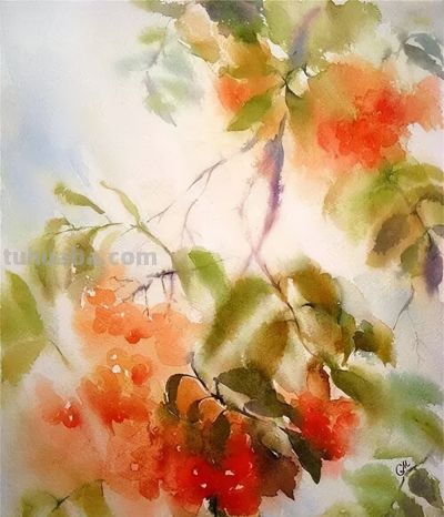 邂逅俄罗斯画家Stitch玛丽的水彩之美 - 图画吧TUHUABA