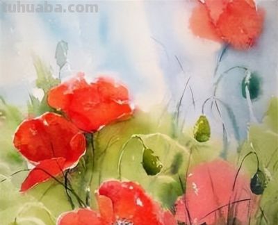 邂逅俄罗斯画家Stitch玛丽的水彩之美 - 图画吧TUHUABA