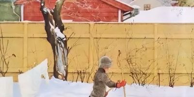 看看这位水彩大神的水彩画！ - 图画吧TUHUABA