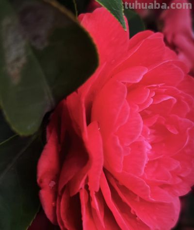 学点摄影小技巧，让生活更美好（一） - 今日头条