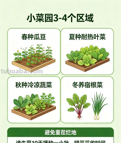 家庭小菜园这样种，一年四季吃不完 - 图画吧TUHUABA