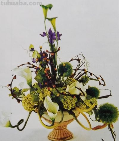 一束花治愈生活！藏在花朵里的浪漫文化，赠花数量寓意一文看懂 - 图画吧TUHUABA