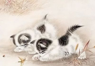 这组小猫咪，画得太可爱了！ - 图画吧TUHUABA