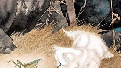 这组小猫咪，画得太可爱了！ - 图画吧TUHUABA