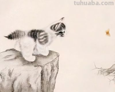 这组小猫咪，画得太可爱了！ - 图画吧TUHUABA