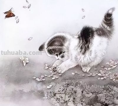 这组小猫咪，画得太可爱了！ - 图画吧TUHUABA