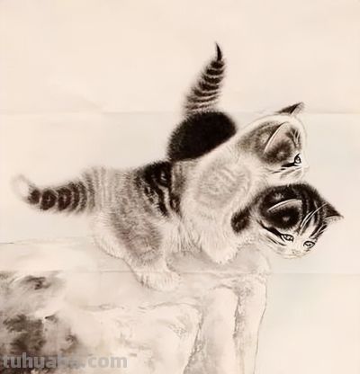这组小猫咪，画得太可爱了！ - 图画吧TUHUABA