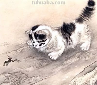 这组小猫咪，画得太可爱了！ - 图画吧TUHUABA