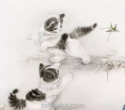 这组小猫咪，画得太可爱了！ - 图画吧TUHUABA