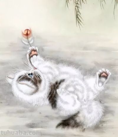 这组小猫咪，画得太可爱了！ - 图画吧TUHUABA