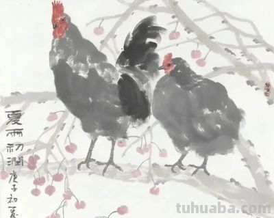 人物画名家梁文博笔下的花鸟家禽 - 图画吧TUHUABA