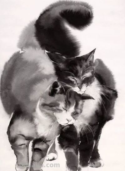 澳大利亚Soo Beng Lim（苏邦林）的猫 - 图画吧TUHUABA