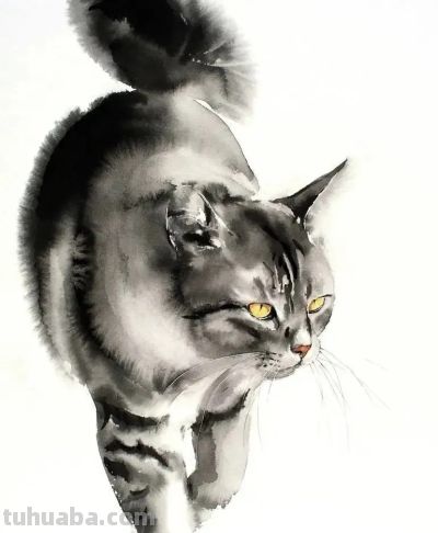 澳大利亚Soo Beng Lim（苏邦林）的猫 - 图画吧TUHUABA