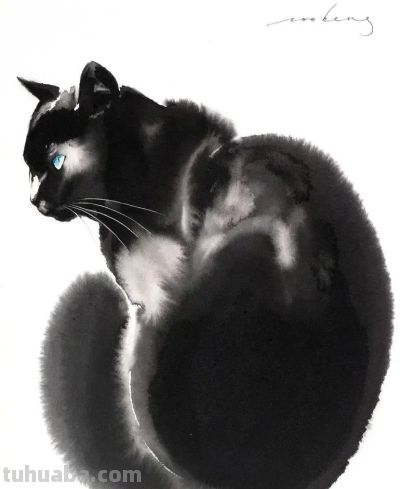 澳大利亚Soo Beng Lim（苏邦林）的猫 - 图画吧TUHUABA