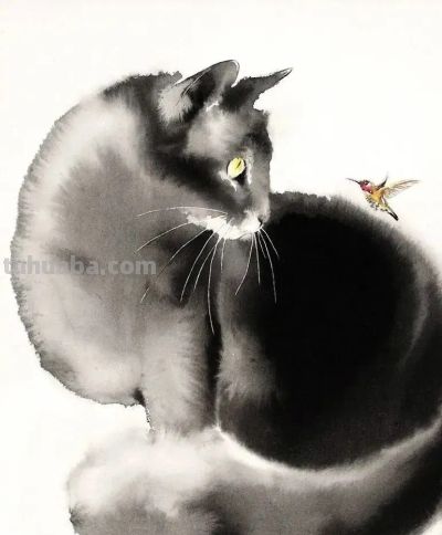 澳大利亚Soo Beng Lim（苏邦林）的猫 - 图画吧TUHUABA