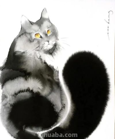 澳大利亚Soo Beng Lim（苏邦林）的猫 - 图画吧TUHUABA