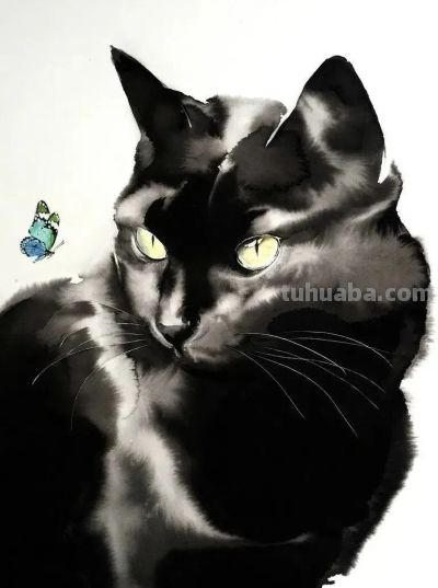 澳大利亚Soo Beng Lim（苏邦林）的猫 - 图画吧TUHUABA