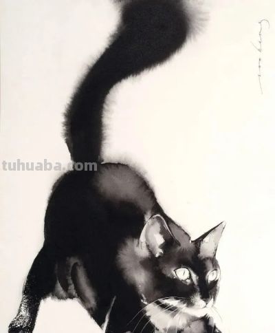 澳大利亚Soo Beng Lim（苏邦林）的猫 - 图画吧TUHUABA