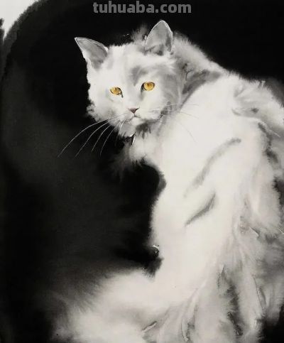 澳大利亚Soo Beng Lim（苏邦林）的猫 - 图画吧TUHUABA