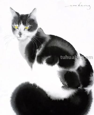 澳大利亚Soo Beng Lim（苏邦林）的猫 - 图画吧TUHUABA