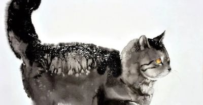 澳大利亚Soo Beng Lim（苏邦林）的猫 - 图画吧TUHUABA