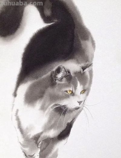 澳大利亚Soo Beng Lim（苏邦林）的猫 - 图画吧TUHUABA