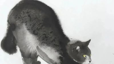 澳大利亚Soo Beng Lim（苏邦林）的猫 - 图画吧TUHUABA