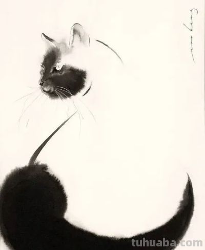 澳大利亚Soo Beng Lim（苏邦林）的猫 - 图画吧TUHUABA