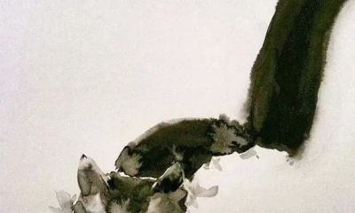 澳大利亚Soo Beng Lim（苏邦林）的猫 - 图画吧TUHUABA