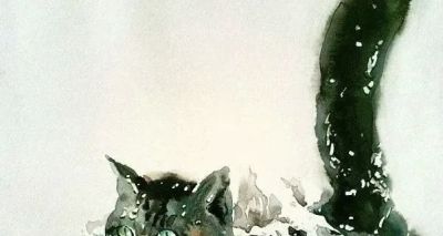 澳大利亚Soo Beng Lim（苏邦林）的猫 - 图画吧TUHUABA