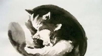 澳大利亚Soo Beng Lim（苏邦林）的猫 - 图画吧TUHUABA