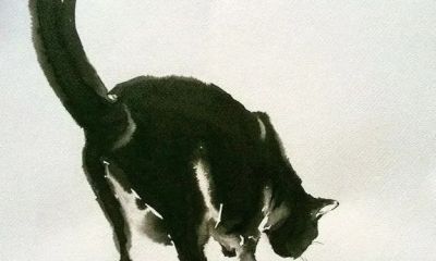 澳大利亚Soo Beng Lim（苏邦林）的猫 - 图画吧TUHUABA