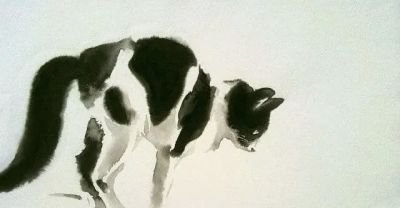 澳大利亚Soo Beng Lim（苏邦林）的猫 - 图画吧TUHUABA